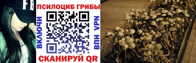 Псилоцибиновые грибы MAGIC MUSHROOMS  цена   hydra как войти  Николаевск-на-Амуре 